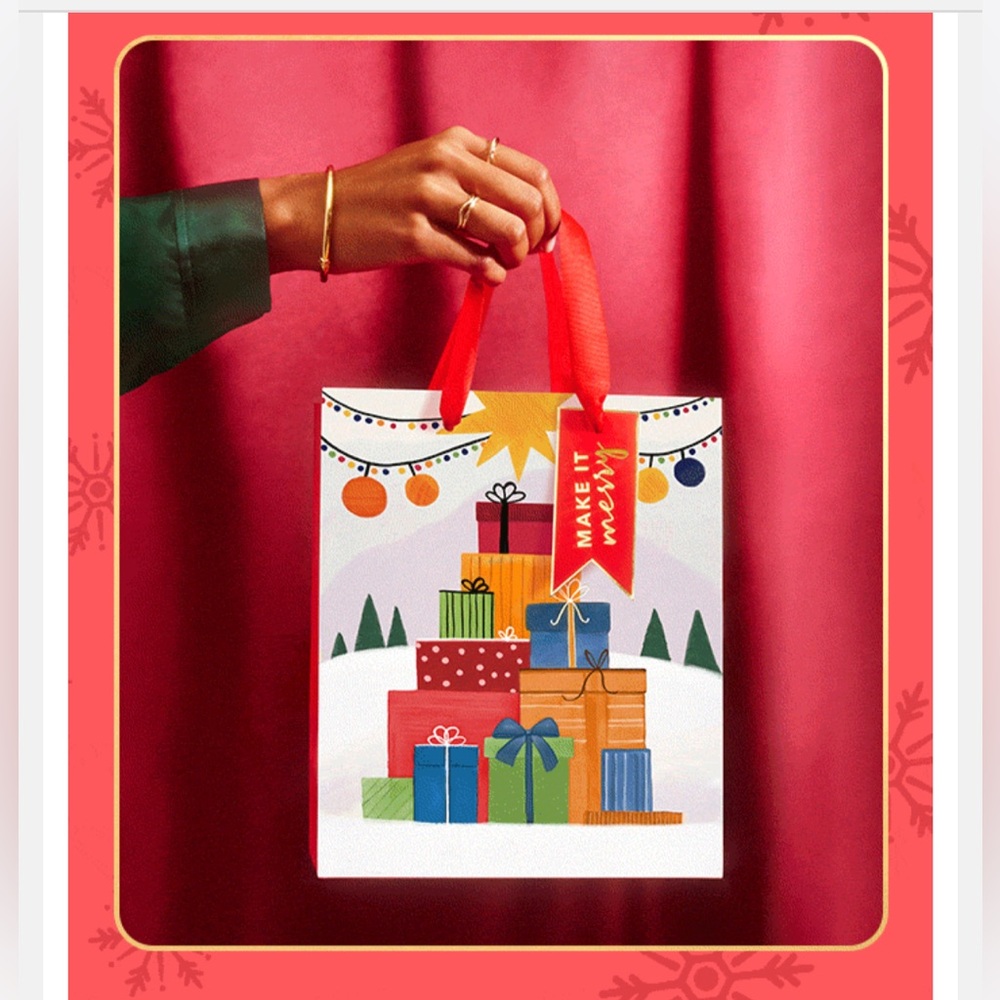 Gift Bag Set with Tissue 2 Bags 2 Tags NWT